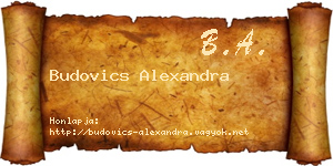 Budovics Alexandra névjegykártya
